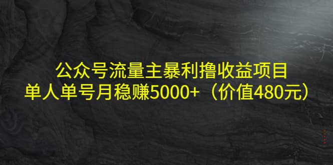 公众号流量主暴利撸收益项目，单人单号月稳赚5000+（价值480元）