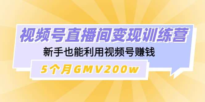 视频号直播间变现训练营