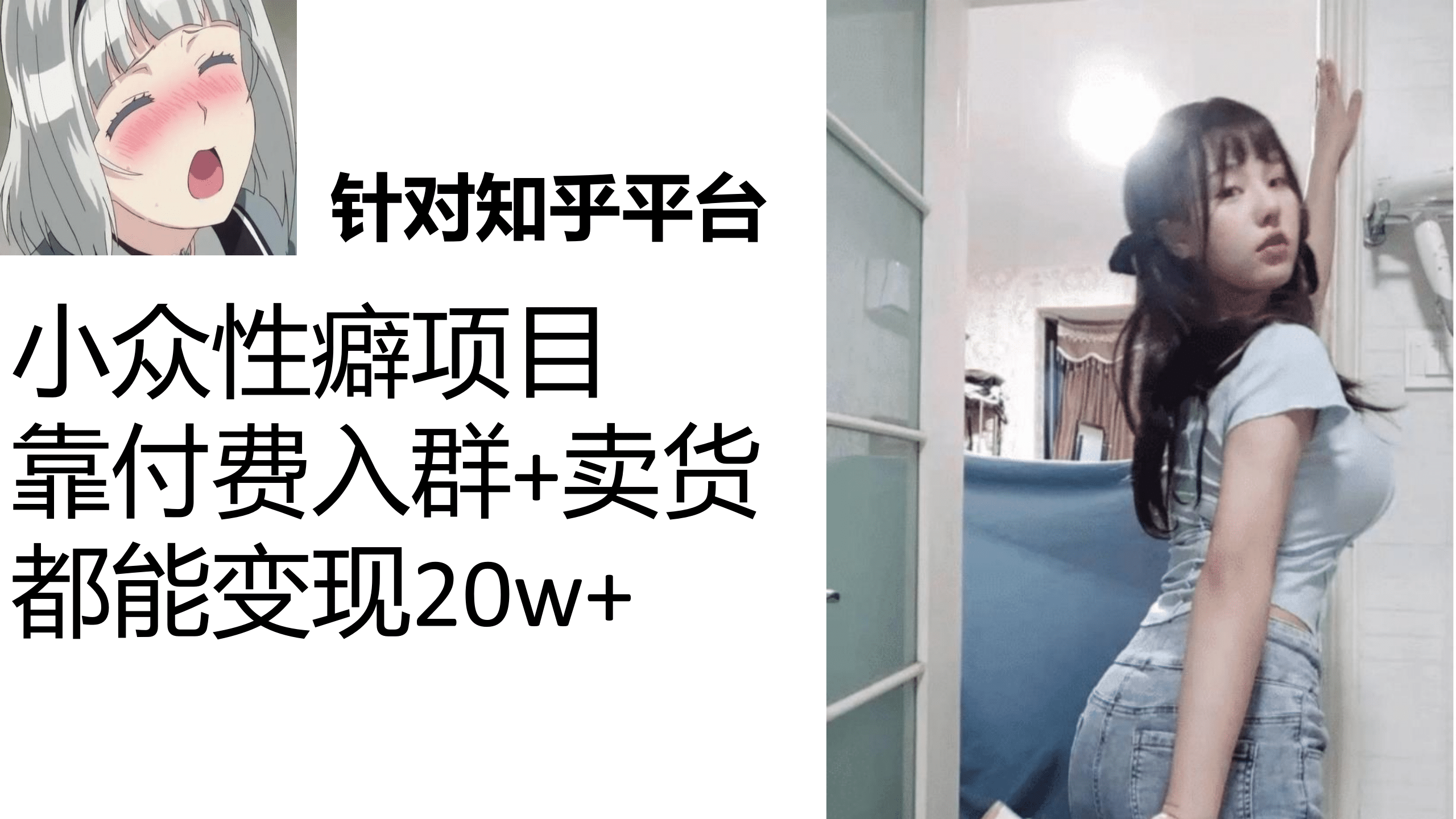 知乎小众性癖项目，Lsp的钱才是最好赚的，付费建群 卖货变现20w插图